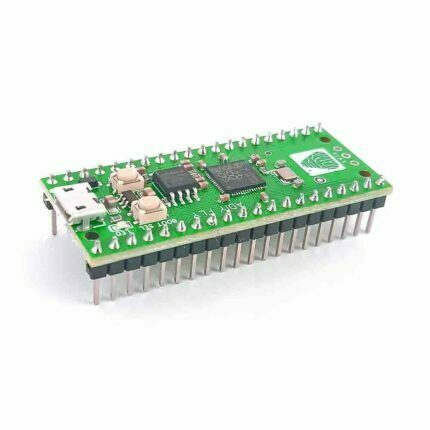 Raspberry Pi Pico Adiy Fly RP2040 (Made in India)